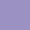 Violet Tulip color